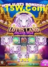 Experiência VIP 7vwin
